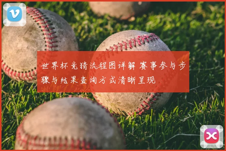 世界杯竞猜流程图详解 赛事参与步骤与结果查询方式清晰呈现